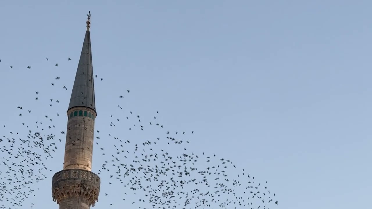 Cem Yıldız - Meskenim Ayrılık (Official Video) Mp3 İndir