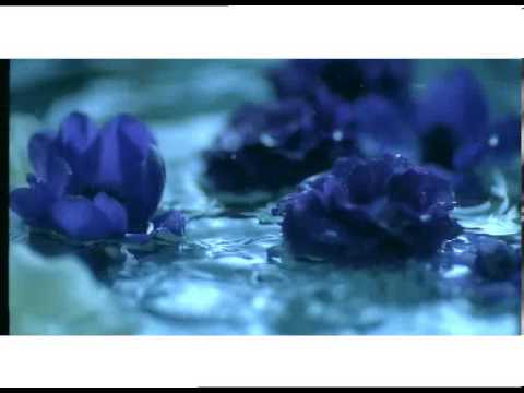 Ebru Gündeş - Beyaz Mp3 İndir