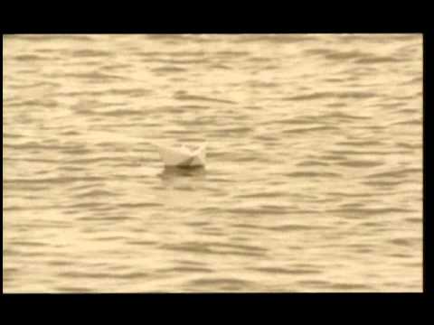 Edip Akbayram - Güzel Günler Göreceğiz Mp3 İndir