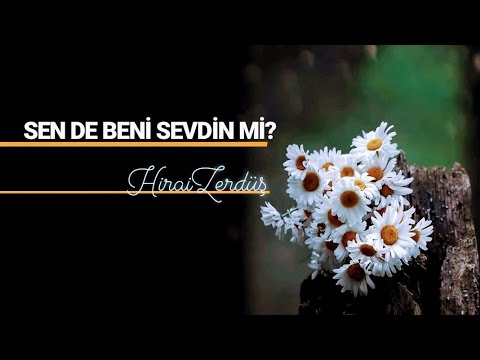HiraiZerdüş | Sen de beni sevdin mi? Mp3 İndir