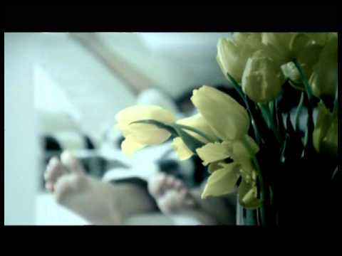 MFÖ - Sarı Laleler Mp3 İndir
